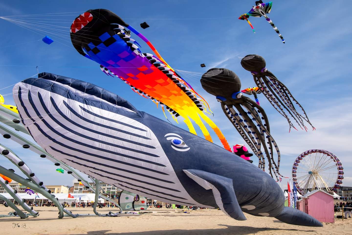 Festival Internacional de Pipas Gigantes é lançado no Brasil com origem em Blumenau e acontece ao ar livre em Itapoá-SC.