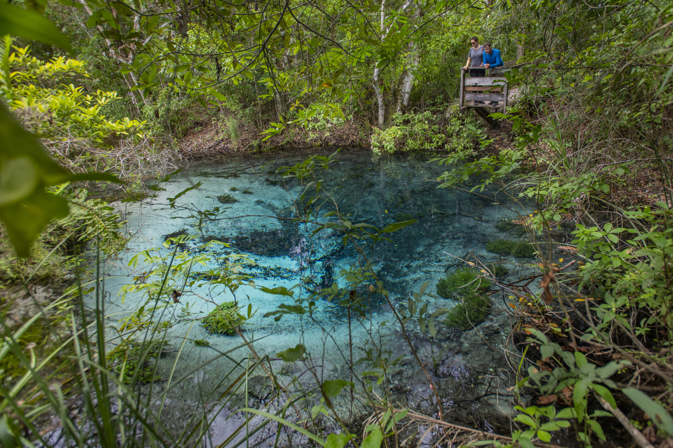 Explore Bonito (MS) no Inverno: Lagoas, Trilhas e Balneários para um Turista Aventura