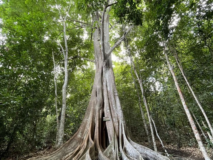 Rio Grande do Norte Lança Sinalização do Caminho dos Santos Mártires para Impulsionar o Turismo Religioso