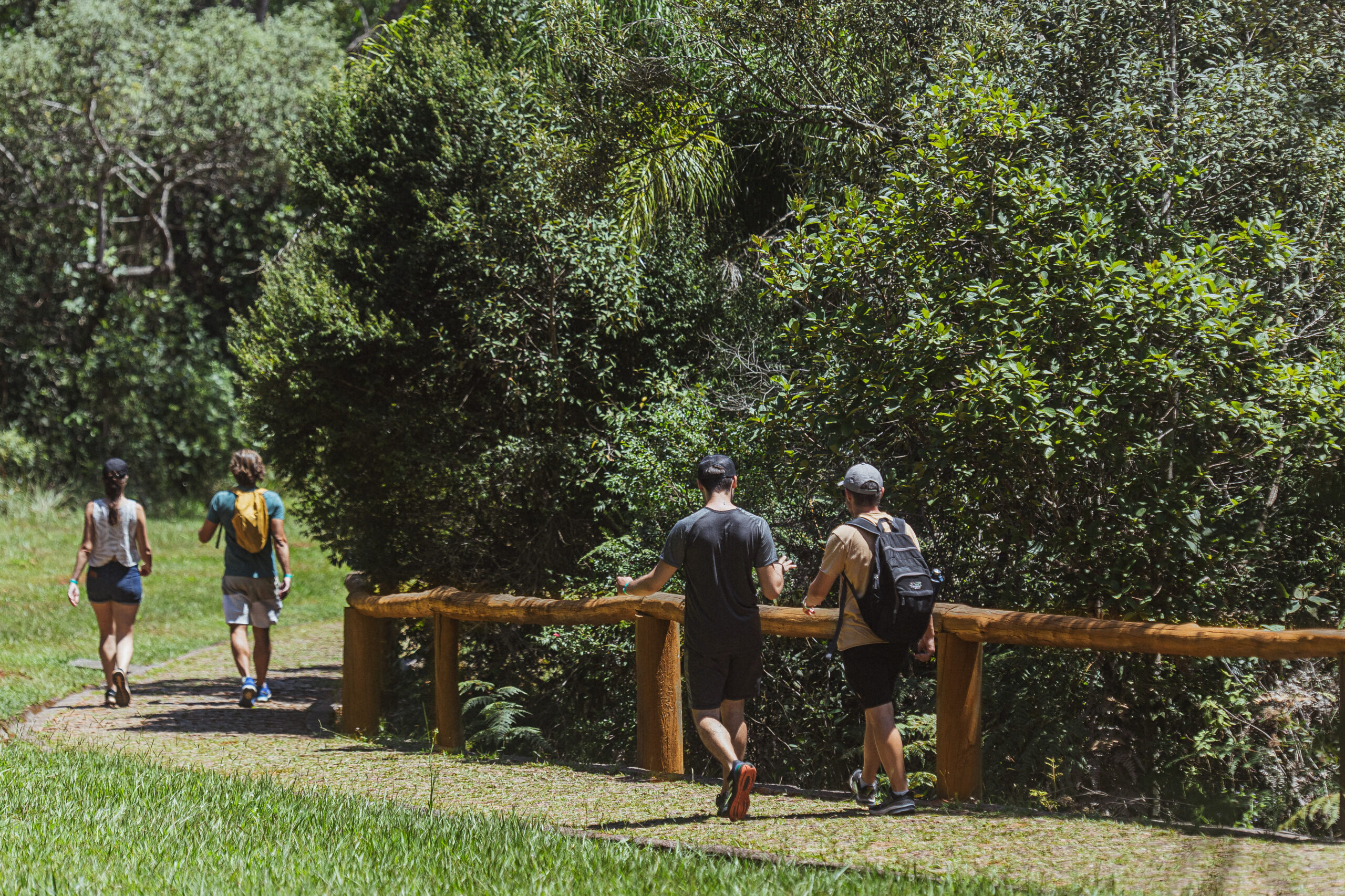 Encontros Mágicos com a Fauna dos Campos Gerais Atraem Visitantes ao Parque Estadual de Vila Velha