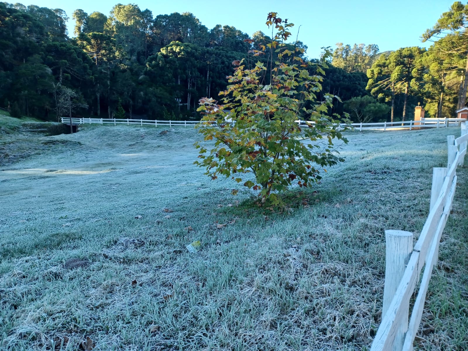 Temperaturas negativas impulsionam turismo em Monte Verde, destaque na Serra da Mantiqueira