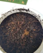 Compostagem Domiciliar - Imagem 4
