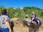 Compostagem Domiciliar - Imagem 6