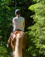 Fazenda Evaristo | Passeio a cavalo - Imagem 5